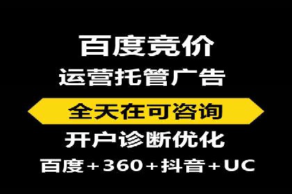 某某SEM团队成功提升网站流量与转化率的实战经验